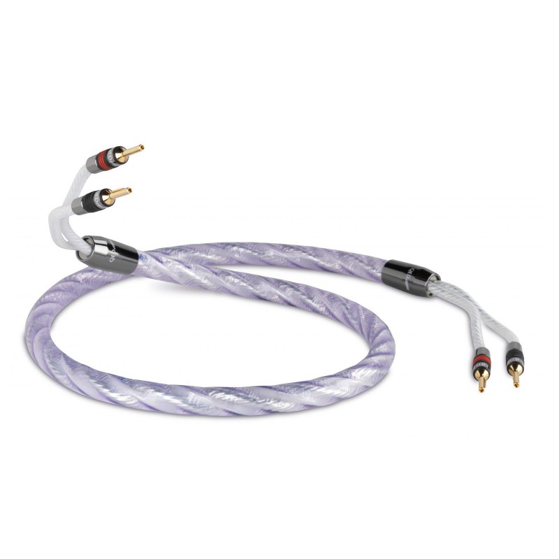 QED GENESIS Pre-Term Speaker Cable 2.0m – изображение 1