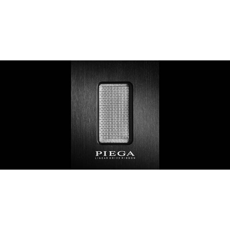 PIEGA Premium 701 Wireless Gen 2 Silver – изображение 4
