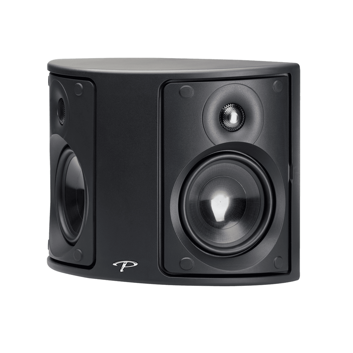 Paradigm shop monitor surround