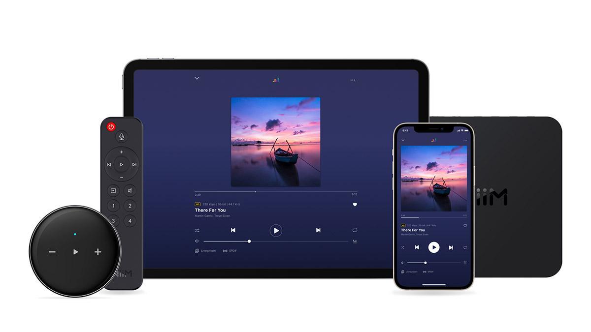 Wiim Pro Plus купить | Цена на сетевой плеер Pro Plus в Москве