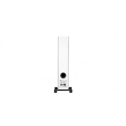 System Audio SA Legend 40.2 Silverback Satin Black купить | Цена на ...