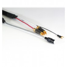 Neptune Phono Cable Din-RCA 1.2m 
